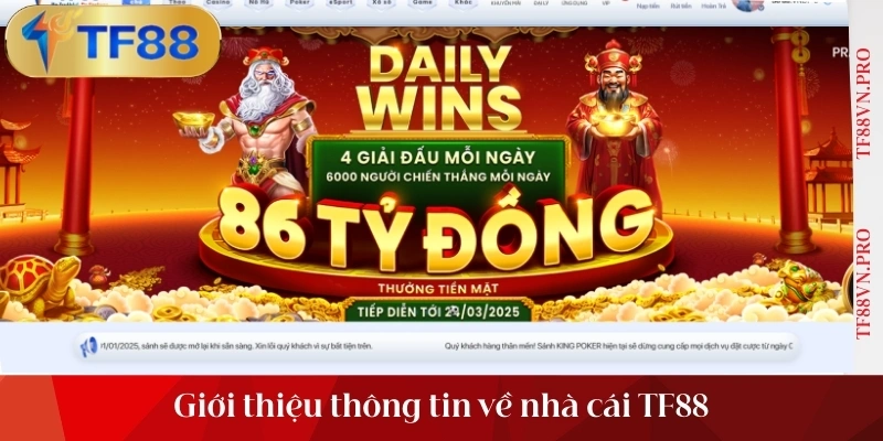 Giới thiệu thông tin về nhà cái TF88