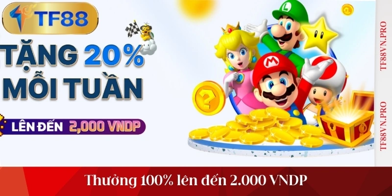 Thưởng 100% lên đến 2.000 VNDP